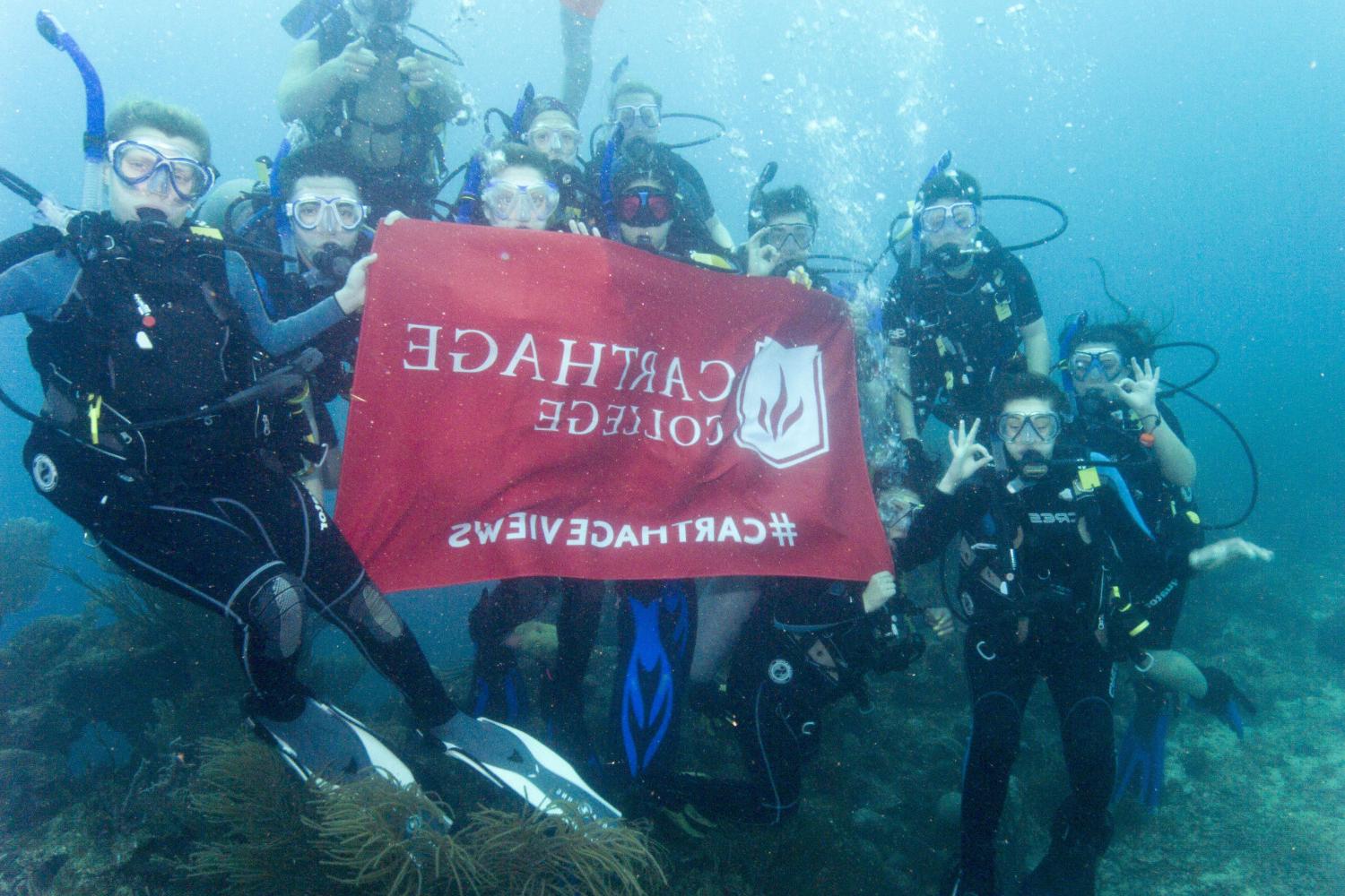 学生们手持<a href='http://uzqg.ngskmc-eis.net'>博彩网址大全</a>旗帜，在j学期洪都拉斯游学之旅中潜水.